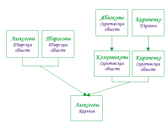 Общая схема родословного древа